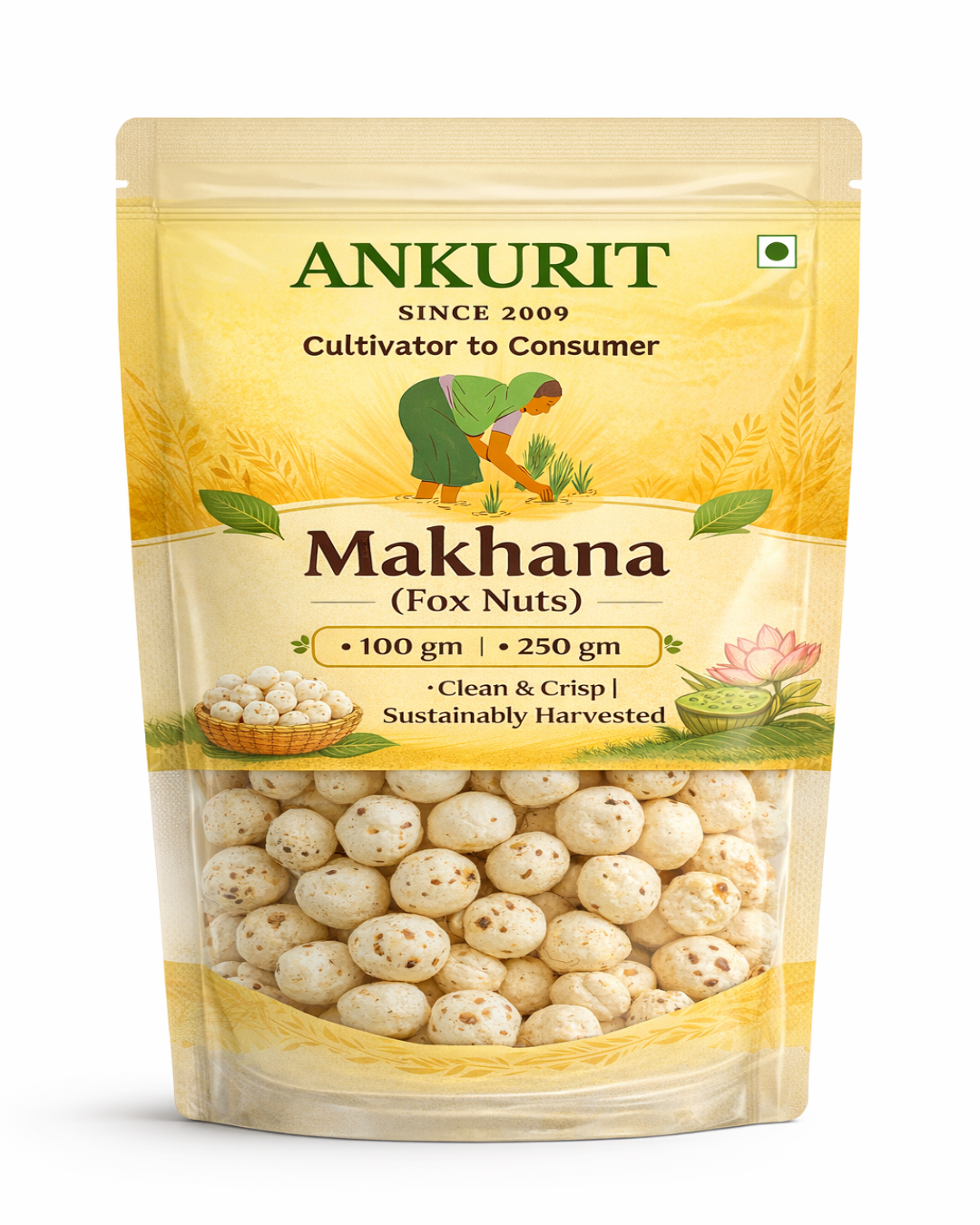Makhana (Fox Nuts) from Bihar